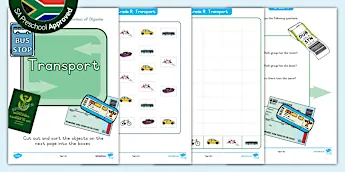 Data Handling Grade R • Twinkl.ca