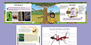 ANT COLONY Unit Study MINI Printable Ants Bundle Poster 