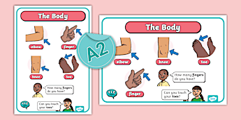 Body Languages | twinkl.com.au