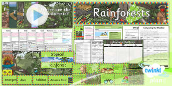 Rainforest Resources | KS2 Primary - Twinkl