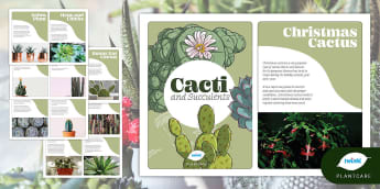Cacti and Succulents Cards