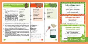 Autumn Activities EYFS | Autumn Resources for Early Years