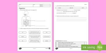 ks3 biology secondary science resources beyond