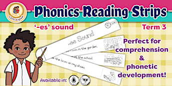 -es Term 3 - Grade 2 Term 3 Phonics | English | South Africa | Twinkl