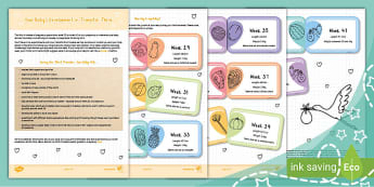 Your Baby's Development in Trimester Three