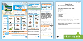 Reading Comprehension KS1 - Primary Resources - Science