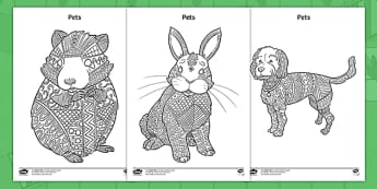 Pets Colouring Activities | Parents - Twinkl