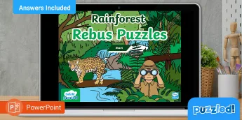 Rainforest Activities | twinkl.co.uk