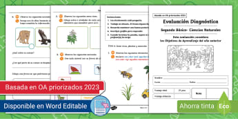 Ciencias De La Tierra Y El Universo | Ciencias | 2° Básico