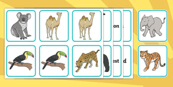 Bring the zoo to your classroom with these resources