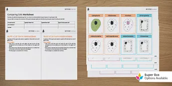 Biology Cell Structures | twinkl.com.au