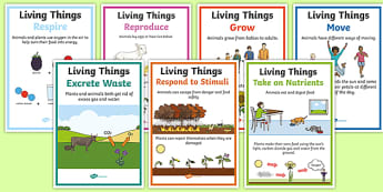 Characteristics Of Living Things Mrs Gren Acronym Poster