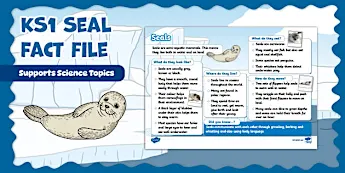animals-fact-file-twinkl-au