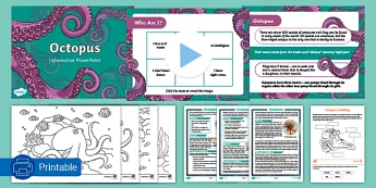 Octopus Lesson Octopuses Resources | twinkl.co.uk