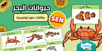 بطاقات صور توضيحية لحيوانات البحر
