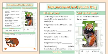 Red Pandas | twinkl.co.uk