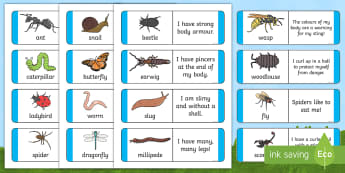 Minibeasts Literacy Early Years (EYFS), minibeast, bugs