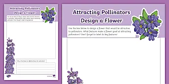 Pollination Resources | twinkl.co.uk