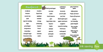 Jungle and Rainforest Activities KS1 | Primary Resources