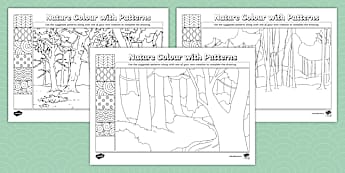 Nature Colour with Patterns Activity