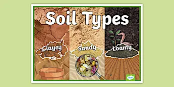 Primary Soil Types Soil Types | twinkl.co.uk