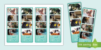 Cat Photo Strip Bookmarks