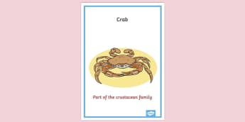 Crab Habitat Primary Resources