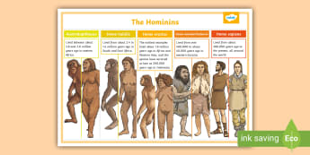Timeline of human evolution - Wikipedia