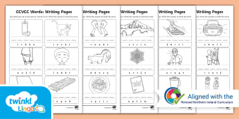 Stage 2 Phonics Resources | Northern Ireland | KS1 - Twinkl