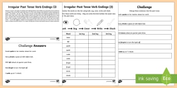 798 top irregular past tense checklist teaching resources