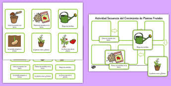 Actividad de secuenciar - el crecimiento de las plantas - semilla, flor, frutal, crecer, ciclo de vida