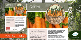 Garden Veg Fact File: Carrots, Plantcare, growing vegetables