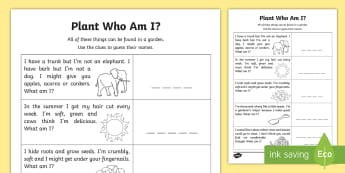 Riddles - KS2 Poetry - Twinkl