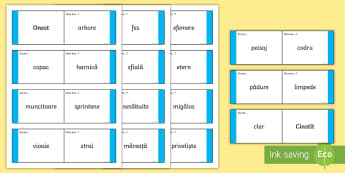 Cuvinte Cu AcelaÈ™i InÈ›eles Ciclul Primar Romania