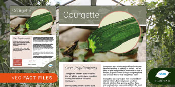 Garden Veg Fact File: Courgettes, Plants, growing vegetables