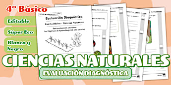 Prueba de diagnóstico: Ciencias Naturales 4º Básico