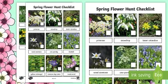 Spring Time Checklist Early Education Checklist • Twinkl.ca
