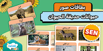 بطاقات صور حقيقية لحيوانات الحديقة