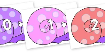 Mathematics Resource • Twinkl.com.au