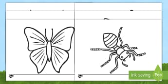 Hojas de colorear: Los bichos (imagenes detalladas) Hojas de colorear - libélula, abeja, caracol, hormiga, típula, escarabajo, mariposa, oruga, gusano, mariquita, cochini