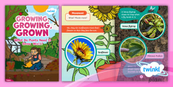 Plants - Year 2 Science Resources - Twinkl