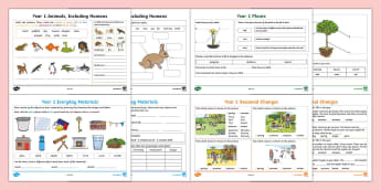 Absorbent and Non-Absorbent Materials Worksheet – Twinkl
