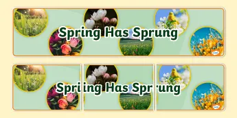 Spring Display Banners | twinkl.com.au