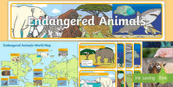 Endangered Animal Display Pack - endangered, animal, display pack, display, pack