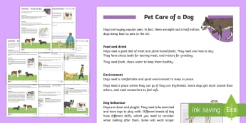 KS2 Pet Care of a Dog Differentiated Fact File - KS2 National Pet Month (April 2017), pets, pet, looking after a dog, dogs, taking care of a dog, dog