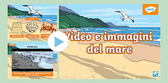 La spiaggia: Video e suoni