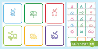 Telugu Consonants 36 Flashcards