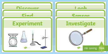 Investigation Area Early Years (EYFS) - Twinkl