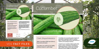Garden Veg Fact File: Cucumber, Plantcare, growing vegetable
