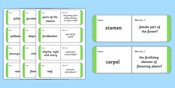 Vocabulary Loop Teaching Topics | twinkl.co.uk
